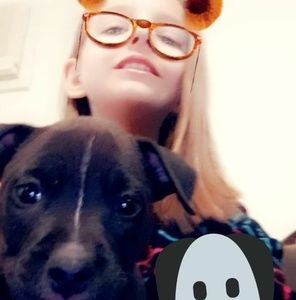 Meet your Posher, Bella